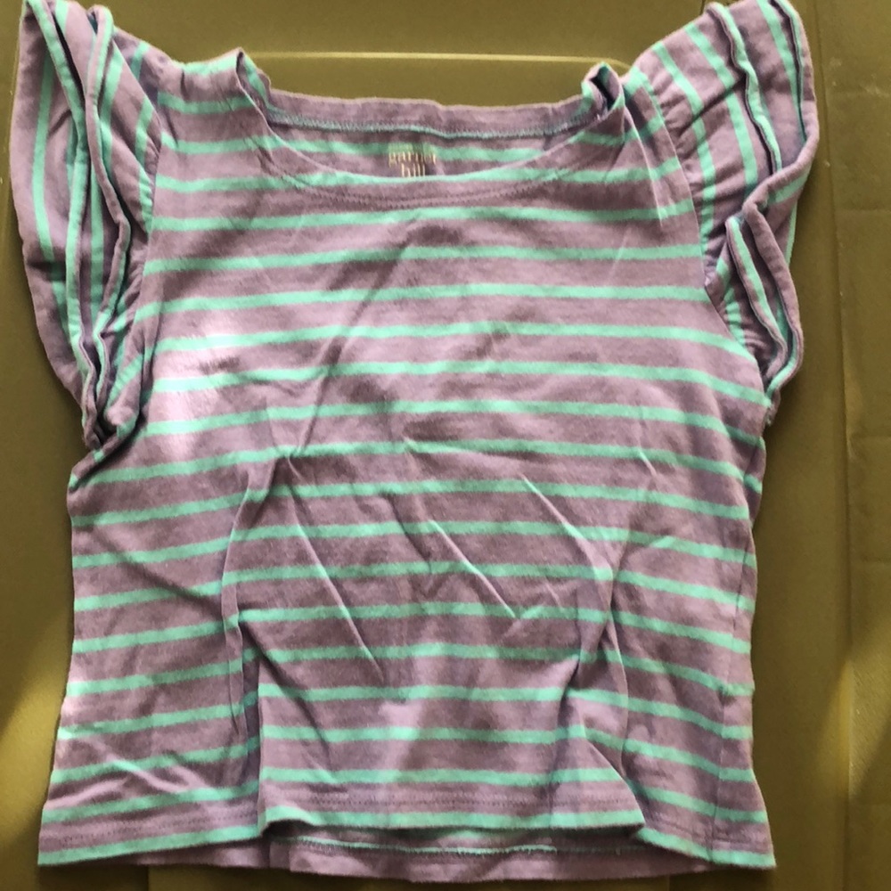 Garnet Hill stripe Tee shirt